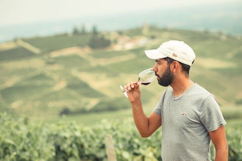 Private Burgundy Half Day Wine Tour by Vintage Land Rover