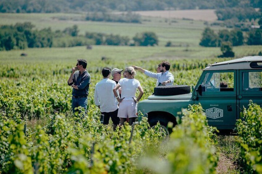 Private Burgundy Half Day Wine Tour by Vintage Land Rover