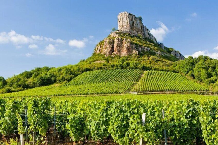 Full Day Private Tour of Beaujolais and Burgundy