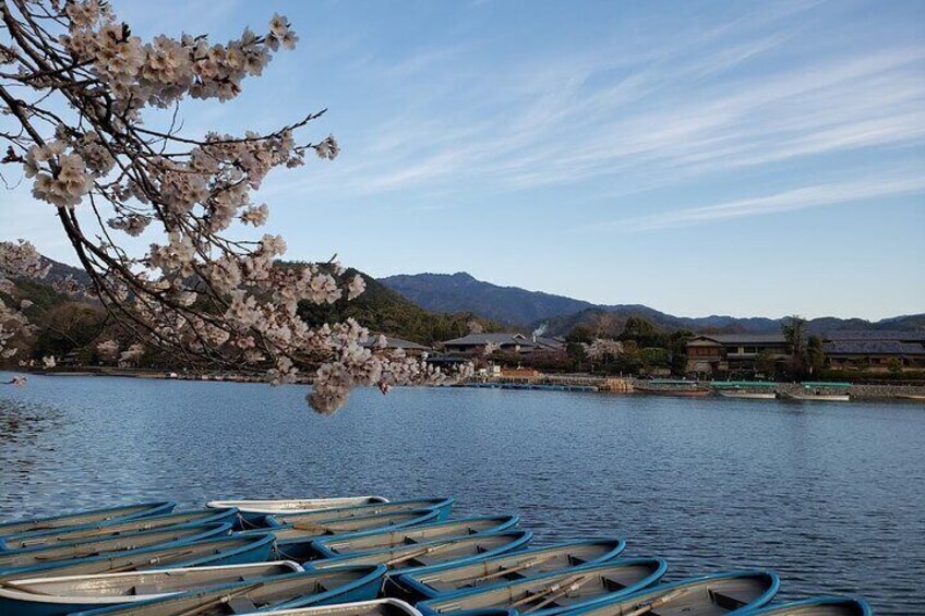 Kyoto Full Day Sightseeing Bus Tour from Osaka or Kyoto