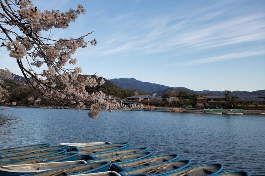Kyoto Full Day Sightseeing Bus Tour from Osaka or Kyoto