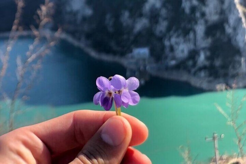 Hike and Picnic Day in the Charm of Bovilla