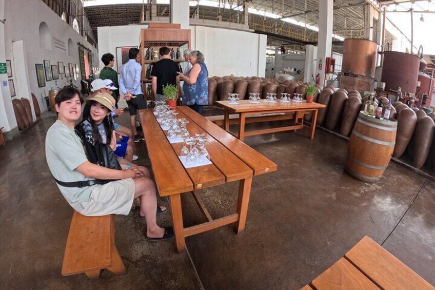 Wine tasting and pisco in vineyards -Tacama