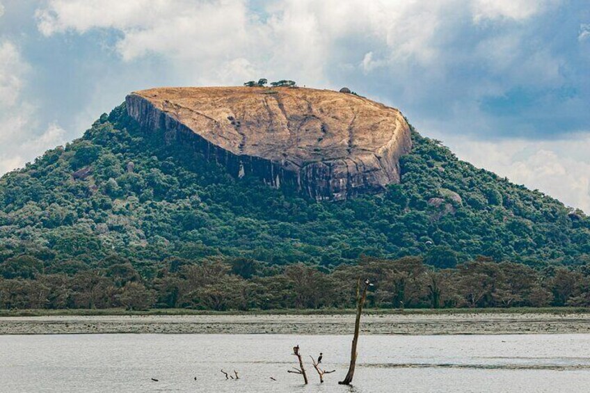 Sigiriya and Dambulla Day Tour from Kandy