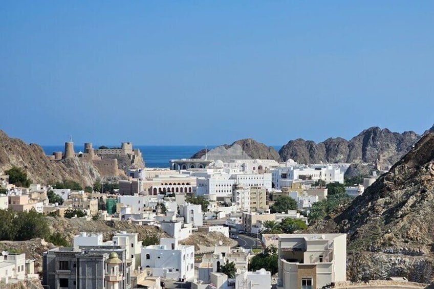 Private Muscat City Tour Morning and Evening