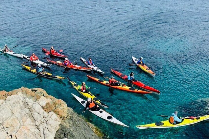 Elba Island Full Day Sea Kayak Tour