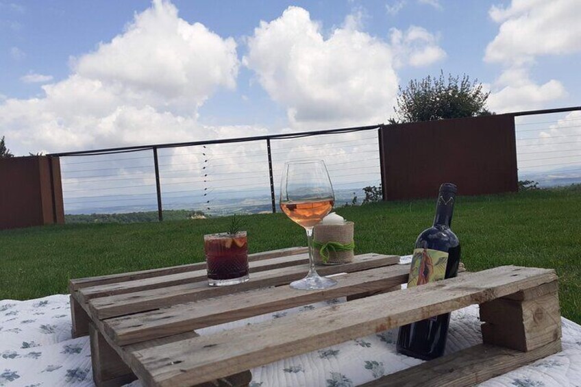 Montepulciano: A picnic with wine, surrounded by vineyards