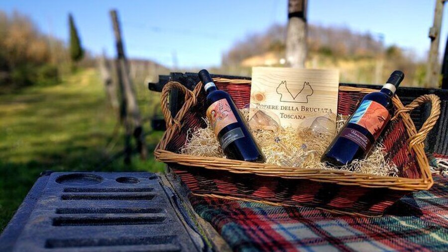 Montepulciano: A picnic with wine, surrounded by vineyards