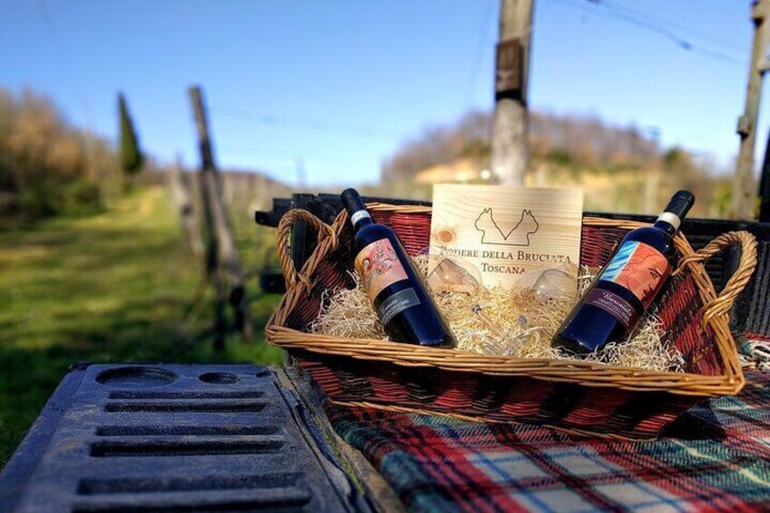 Montepulciano: A picnic with wine, surrounded by vineyards
