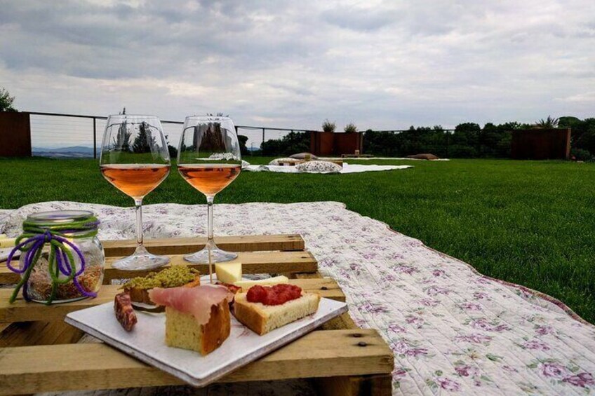 Montepulciano: A picnic with wine, surrounded by vineyards