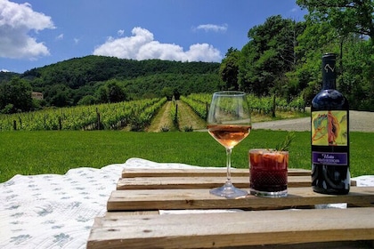 Montepulciano : Un pique-nique avec du vin, entouré de vignobles