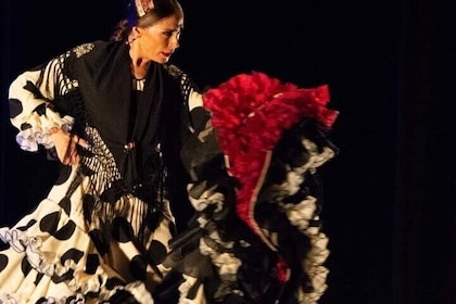 Santa Pola Historical and Scenic and Flamenco with Show and Dinner