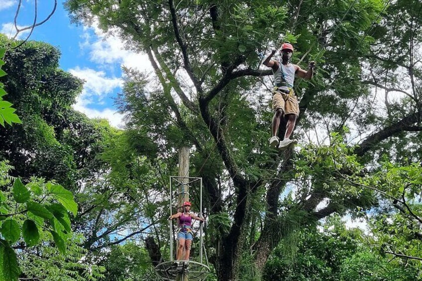 Canopy Tour through the tree tops of Rio de Janeiro