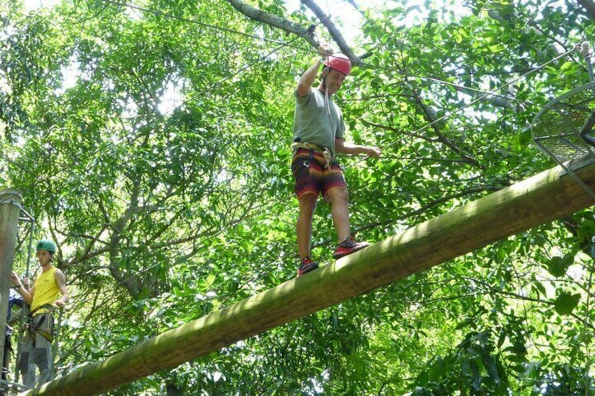 Zip Line and Canopy Tree Tour leads adventurers through the tree tops of Rio de Janeiro