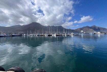 Cabo de Buena Esperanza, Pingüinos y más 