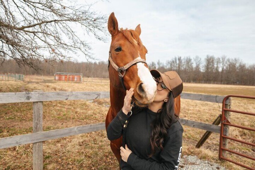 Hands On Horse Relaxation and Connection Experience