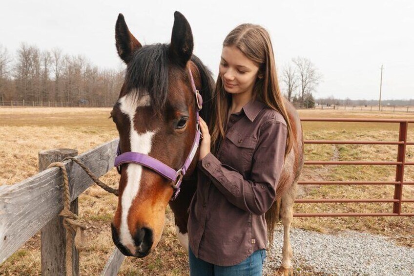 Hands On Horse Relaxation and Connection Experience