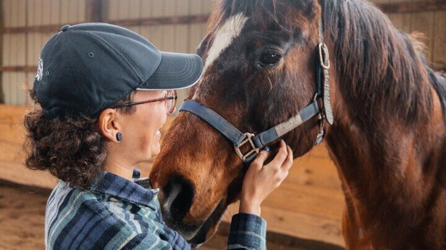 Hands On Horse Relaxation and Connection Experience