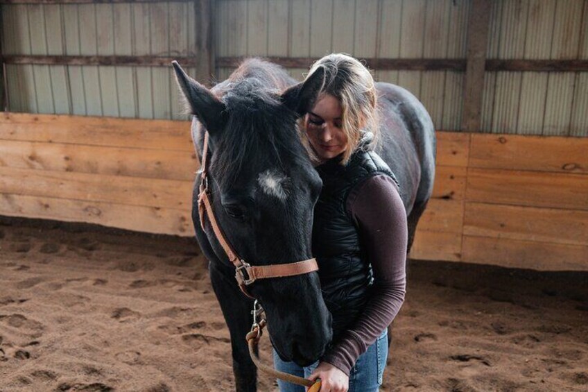 Hands On Horse Relaxation and Connection Experience