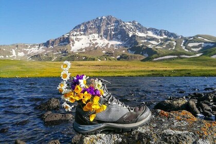 Mount Aragats Wandeltocht met Amberd Fort Bezoek