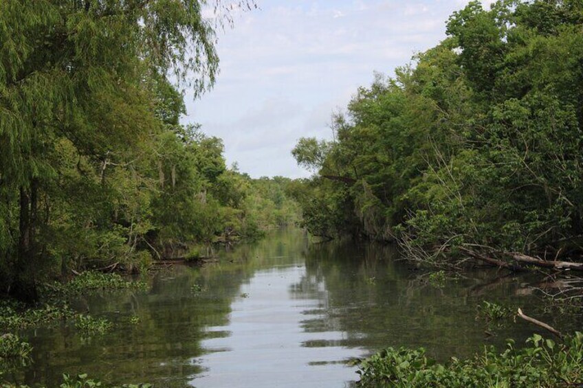 Covered Boat Swamp Tour with Transportation from New Orleans
