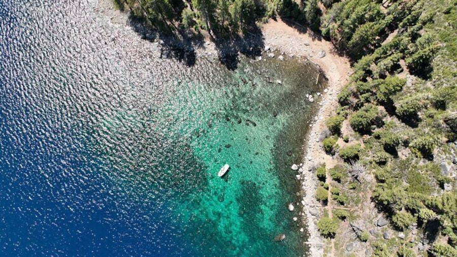 2 Hour Private Boat Photography Charter With Captain