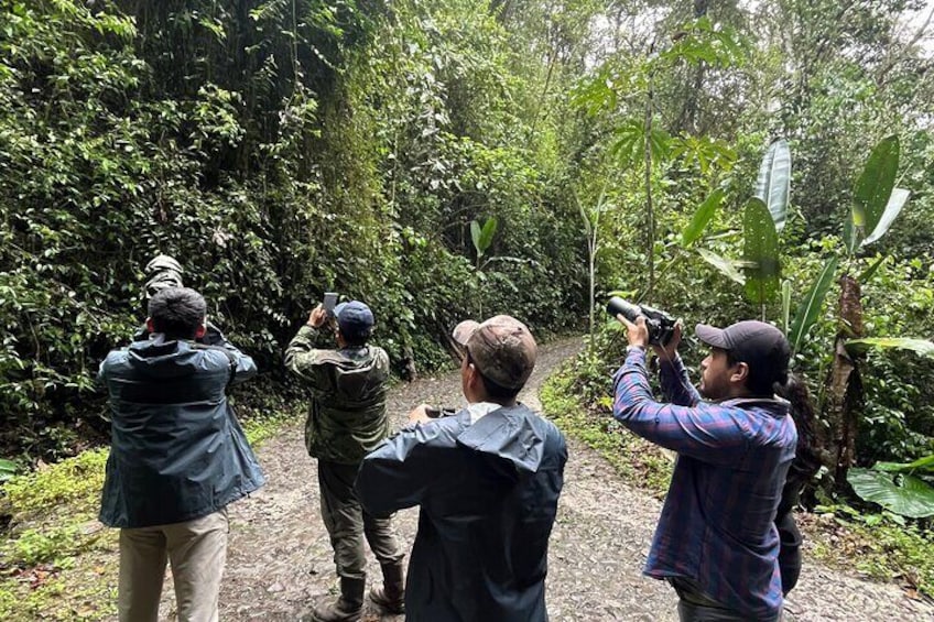  10 Days Birding Photo tour from Andes to Amazon of Ecuador 