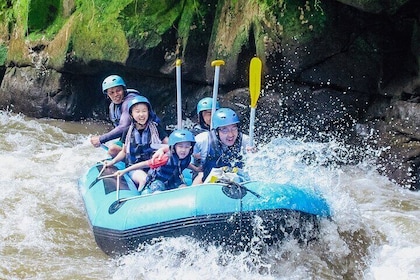 Bali River Rafting Adventure White water rafting Ubud