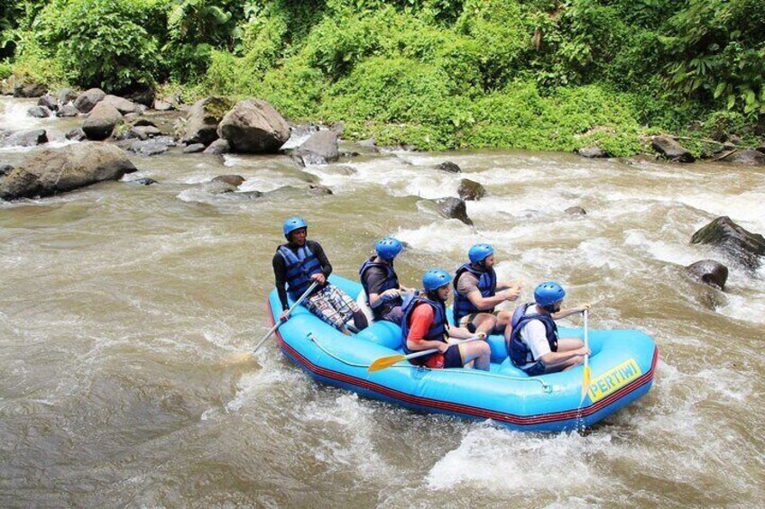 Bali Rafting Adventure White water rafting Ubud