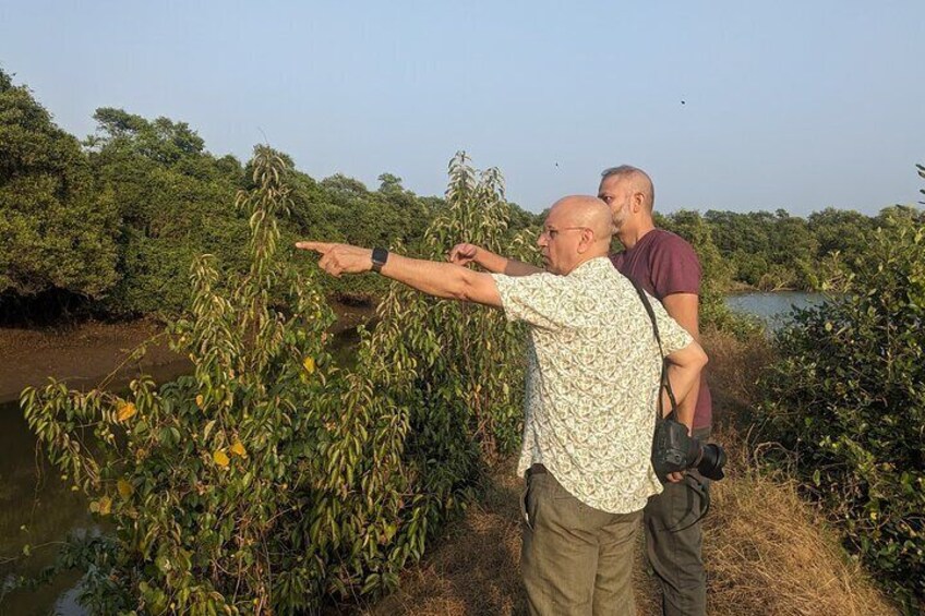 Goa's Divar Island Biodiversity and Heritage Walks with Locals