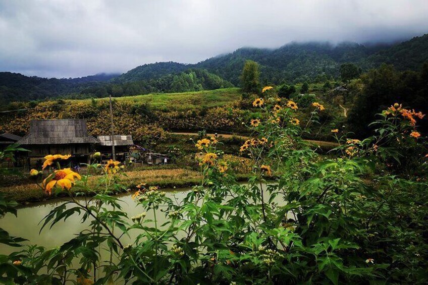 Dien Bien Phu Jeep Expedition 3 Days and 2 Nights of Adventure
