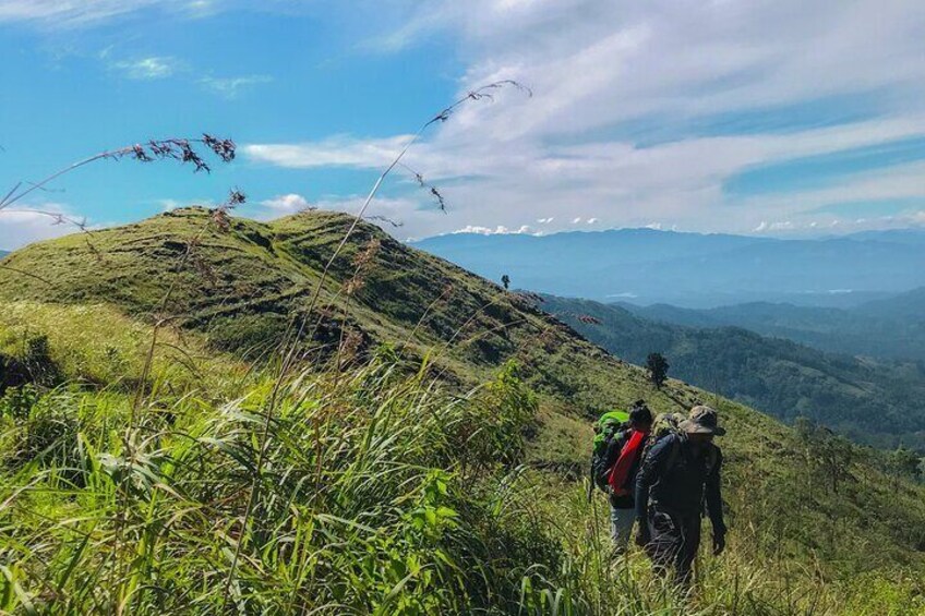 Place where we enter the conservation forest.