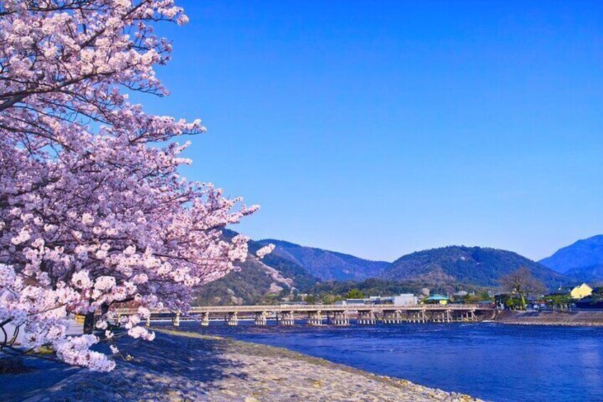 Kyoto One Day Sightseeing Tour from Osaka or Kyoto
