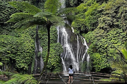 North Bali Ulundanu Temple, Handara Gate , Waterfall