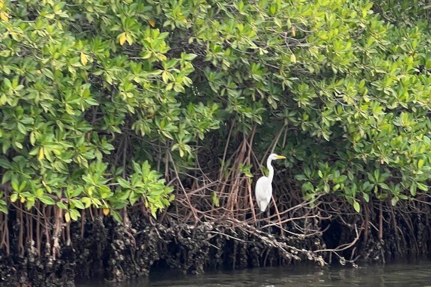 Bandia Reserve and Somone Lagoon Day Tour