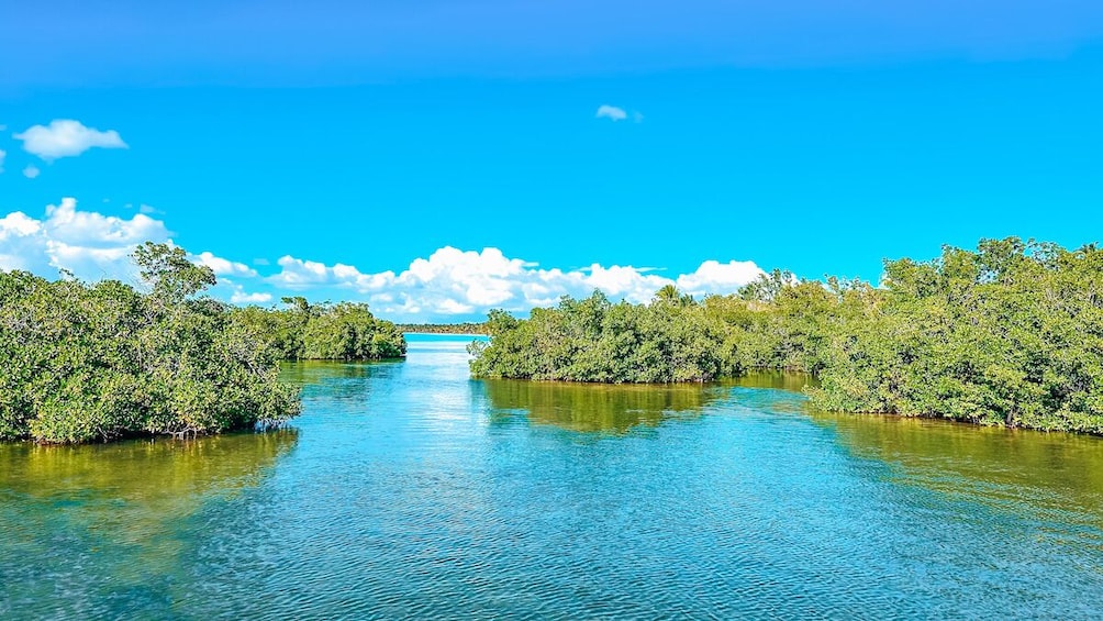 Turtle Island & Isla Saona: Full Day Snorkeling & Beach Adventure