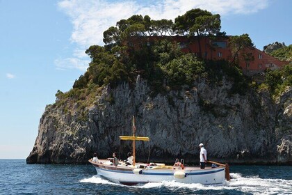 Discovering island of Capri by boat-Small shared group