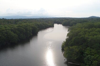 Organic Farm, Chocolate and Gandoca Lagoon Full Day Experience