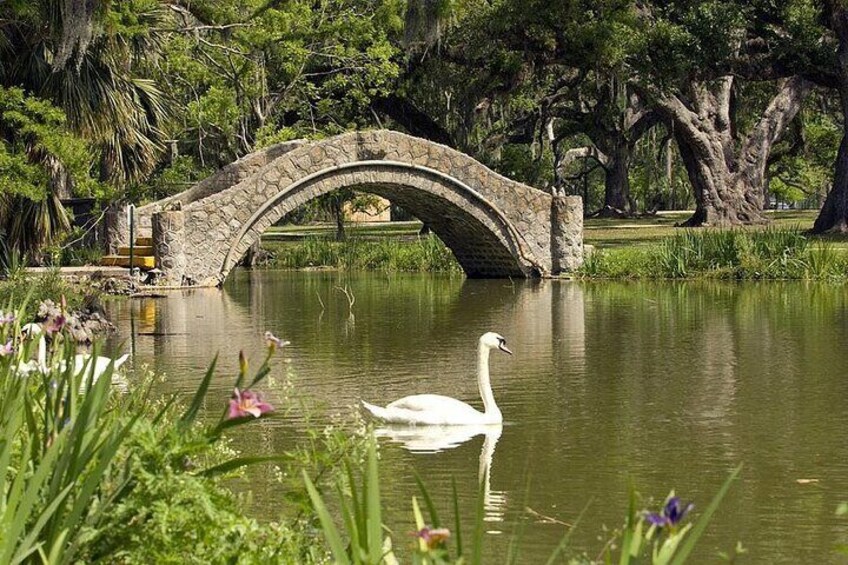 Private New Orleans City and Cemetery Bus Tour Up to 24 People