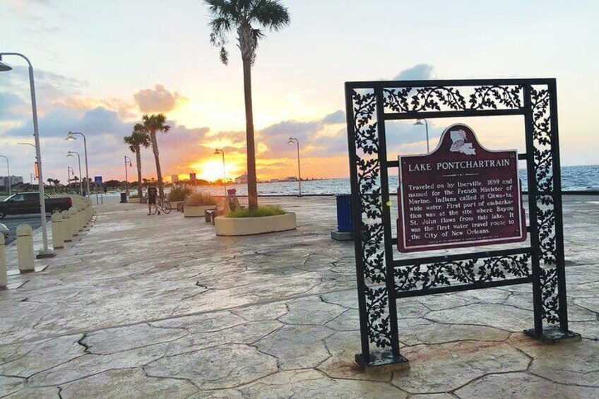 Private New Orleans City and Cemetery Bus Tour Up to 24 People