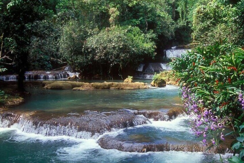 Black River Safari YS Falls Lunch Classic Combo From Montego Bay