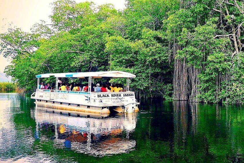 Black River Safari YS Falls Lunch Classic Combo From Montego Bay