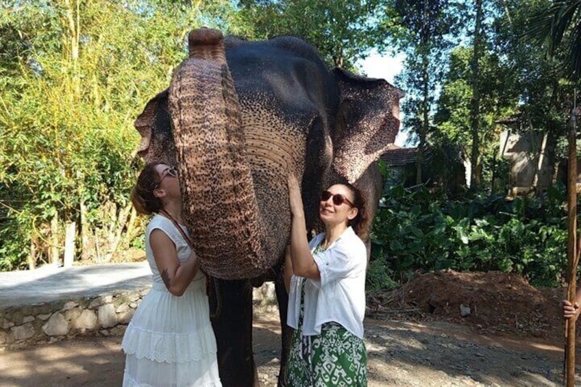 From Colombo: Kandy and Pinnawala Full-Day Trip