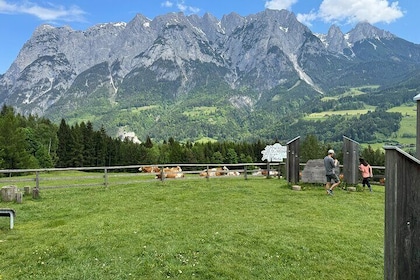 Do-Re-Mi Alpine Tour: Salzburg, Bavarian Alps, and Picnic Meadow