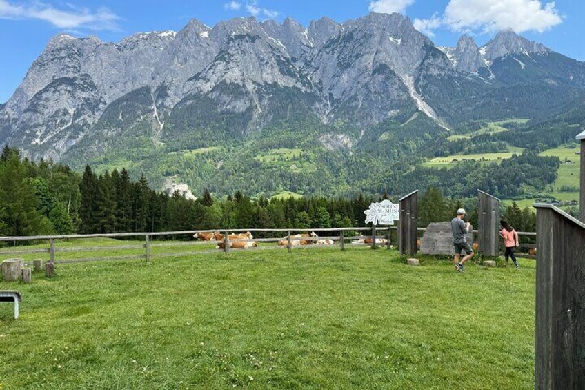 Do Re Mi Alpine Tour Salzburg Bavarian Alps and Picnic Meadow