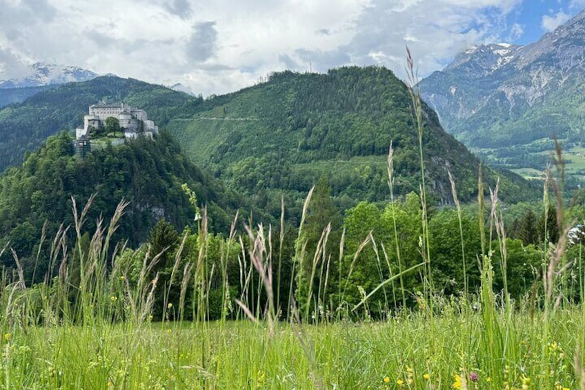 Do Re Mi Alpine Tour Salzburg Bavarian Alps and Picnic Meadow