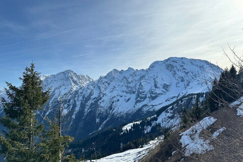 Do Re Mi Alpine Tour Salzburg Bavarian Alps and Picnic Meadow