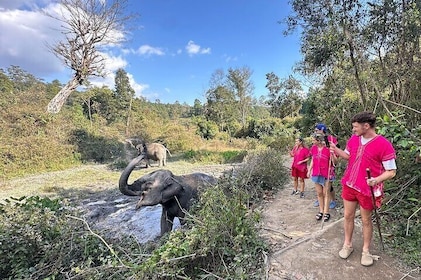 Elephant Watching and Thai Cooking Class with Waterfall