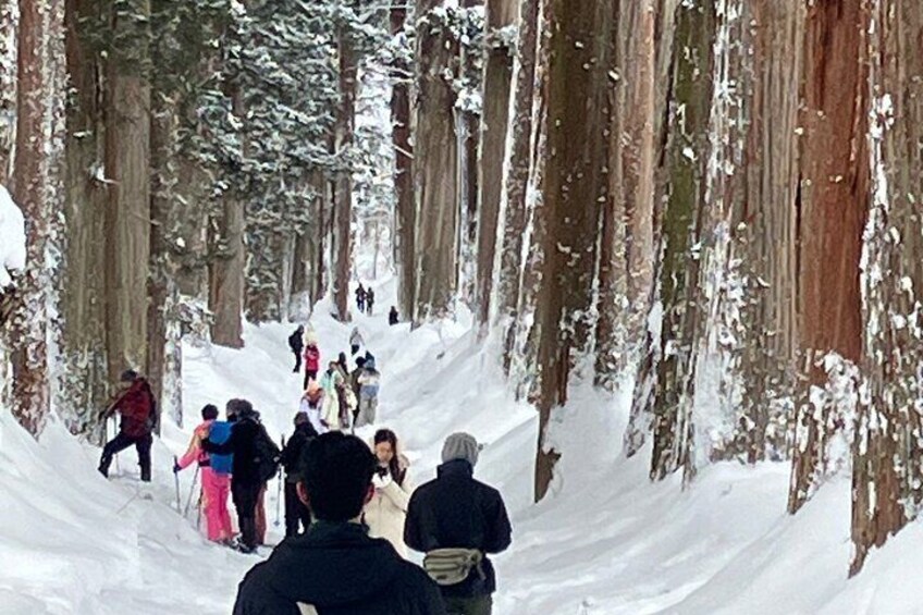 EN/CN Guided Snowshoeing and Snow Monkey Tour in Nagano