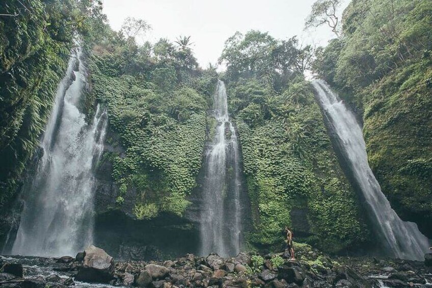 North Bali Sekumpul Banyumala Waterfalls Rice Terraces Adventures